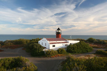 Punta             Delgada